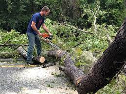  Dunkirk, IN Tree Services Pros